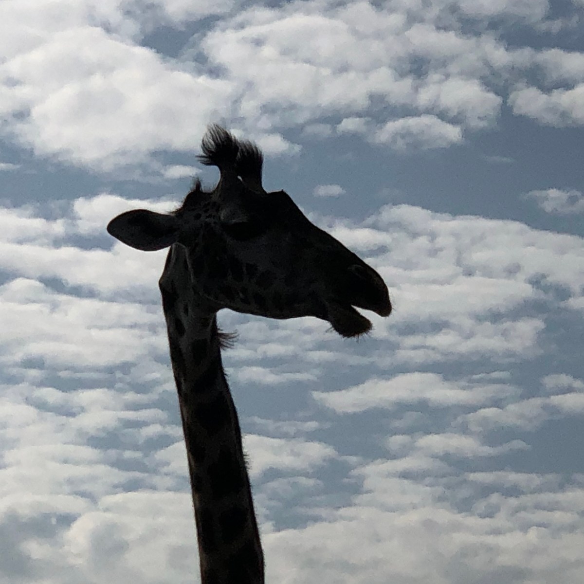 My last time in&nbsp;Tanzania